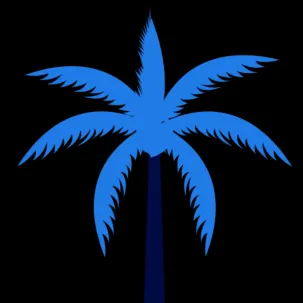 Va Seo Company