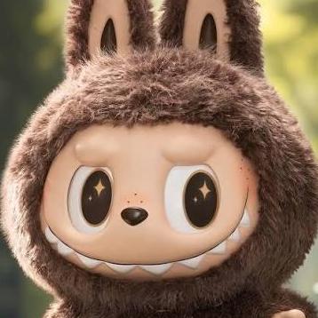 Labubu Labubu